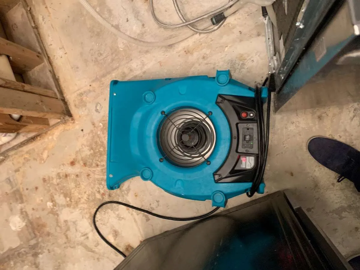 Air mover drying equipment for Mold Remediation & Removal in Clementon